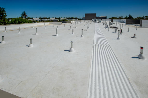 Best Roof Maintenance and Cleaning  in Columbus, KS